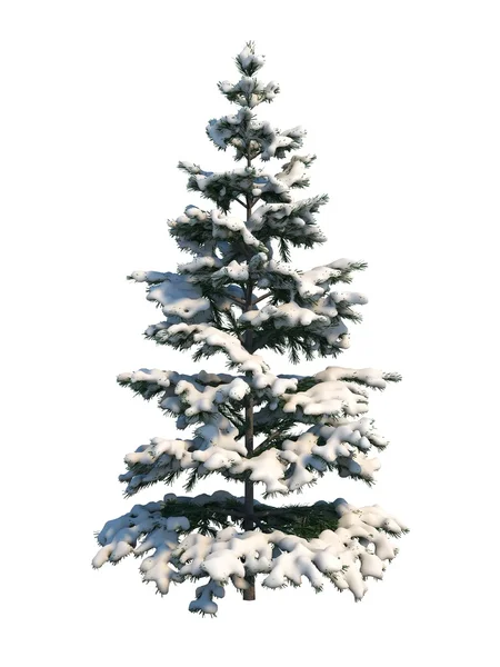 Rendering Snow Covered Tree Isolated White Background — ストック写真