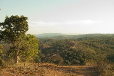 dağ yolu