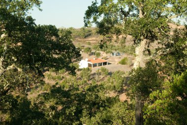 dağ çiftlik evi