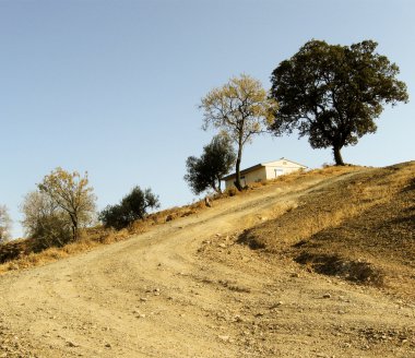 dağ yolu