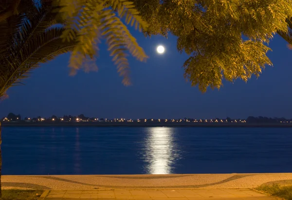 Full moon with moonlight on the river — Stock Photo, Image