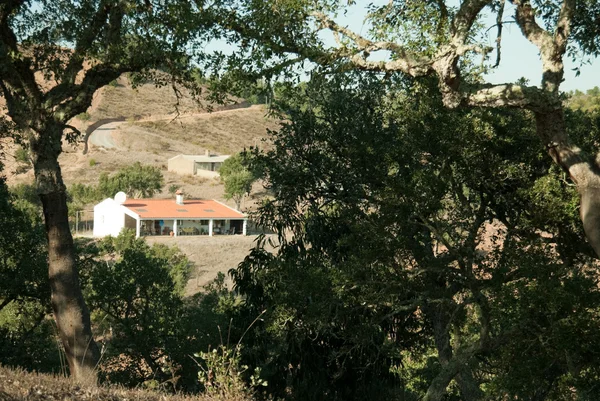 Das Bauernhaus in den Bergen — Stockfoto