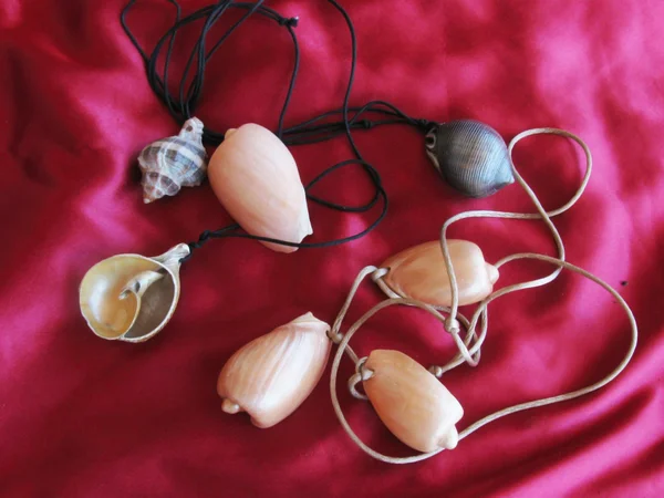 Seashells collars — Stock Photo, Image