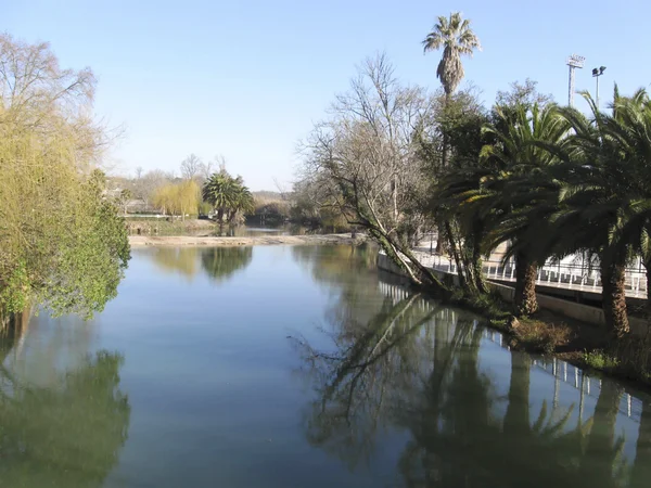 Stock image Lake in park