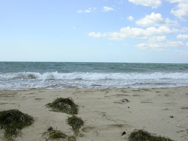Plaży Oceanu Atlantyckiego w algarve — Zdjęcie stockowe