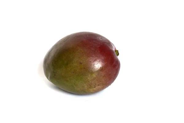 Один манго — стоковое фото