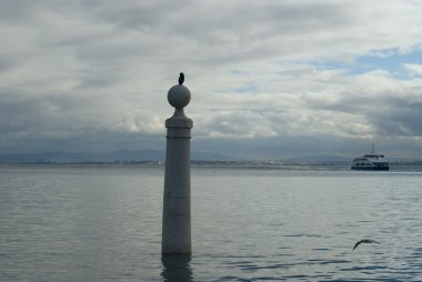 The seagull sits on a column