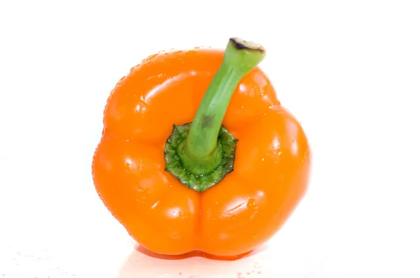 Paprika in waterdruppels geïsoleerd — Stockfoto