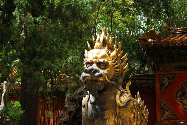 stock image Bronze lion in Forbidden City