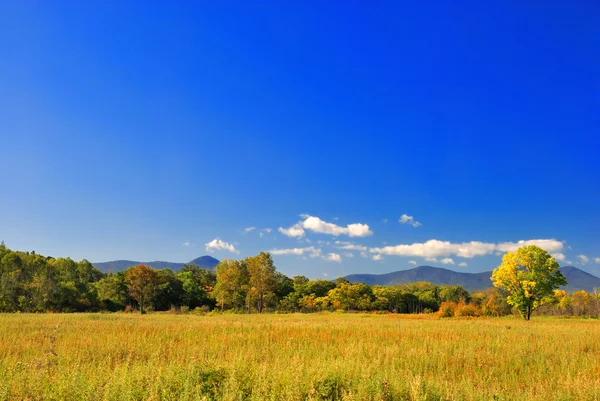 stock image Beautiful autumn landscape