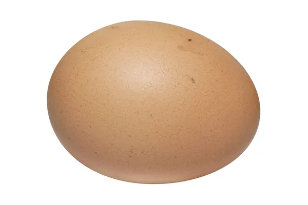 Uovo di canna — Foto Stock