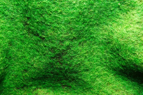 绿色羊毛 — 图库照片