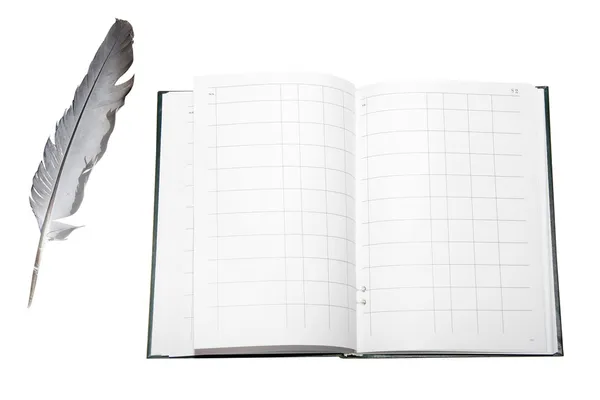 Libro de plumas y cuentas — Foto de Stock