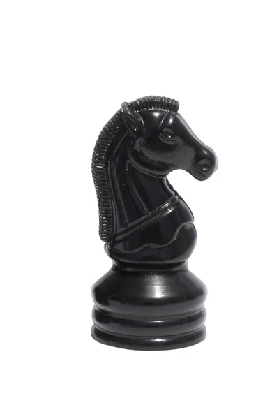 stock image Black horse