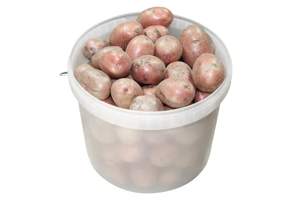 Bucketful di patate — Foto Stock