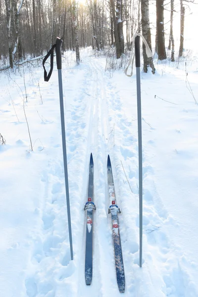 Turistické lyže a lyžařské hůlky — Stock fotografie