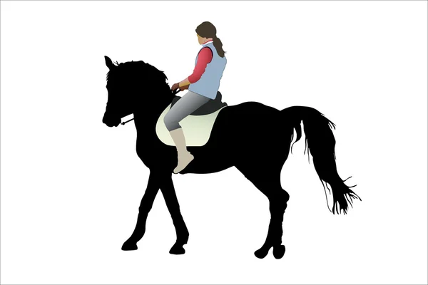 Horsewoman και το άλογο — Διανυσματικό Αρχείο
