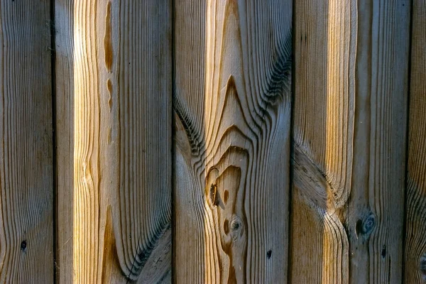 Фон з виразної дерев'яної текстури — стокове фото