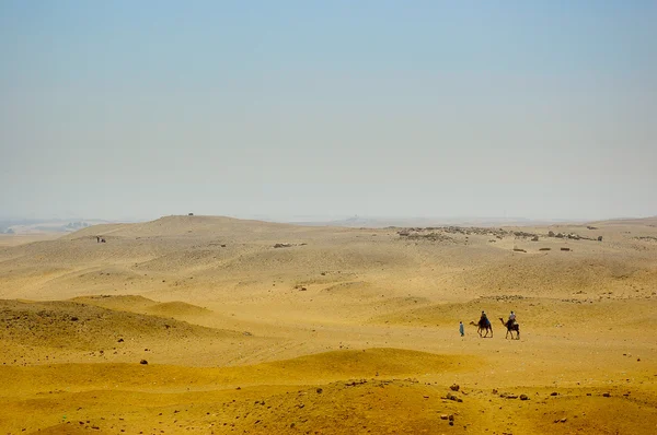 Le désert égyptien — Photo