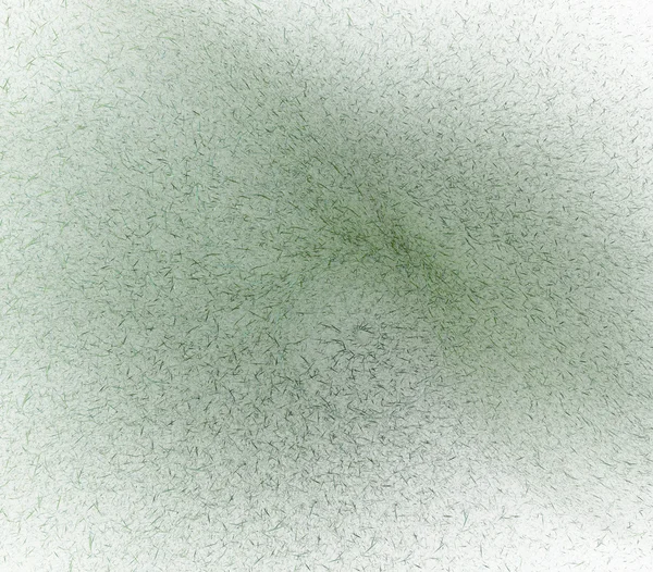 Фрактальне зображення весняного ромашкового ланцюга . — стокове фото