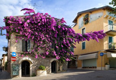 Center Sirmione. clipart