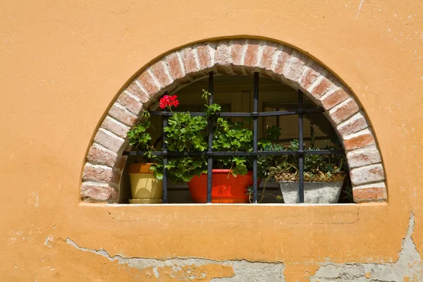 Antica finestra ad arco — Foto Stock