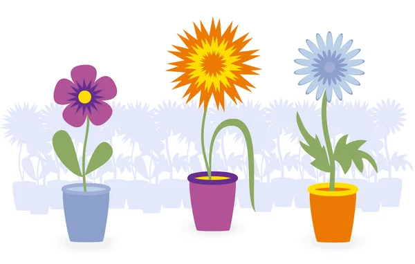 Flowers in pots — Stock Vector