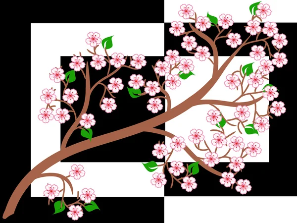 Sakura — Wektor stockowy