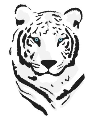 Tigr clipart