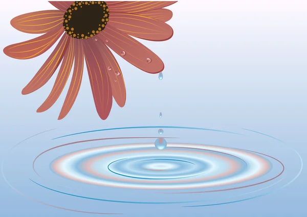Цветок воды — стоковый вектор
