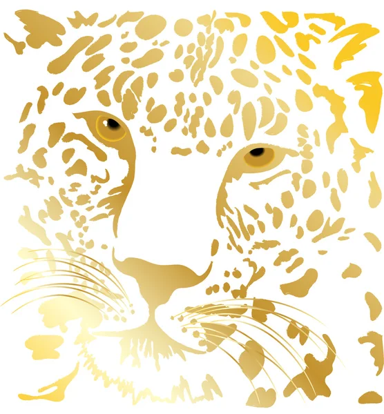 Tigergold — Image vectorielle