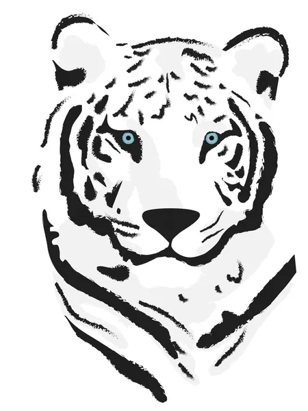 Tigr — Stockvektor
