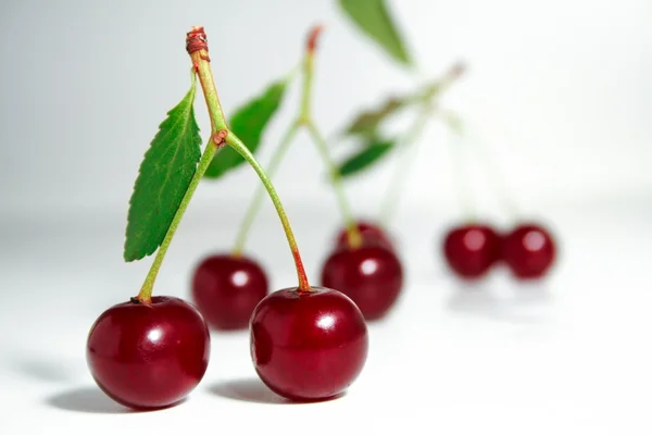 stock image Cherry