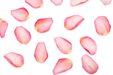 Rose petals clipart