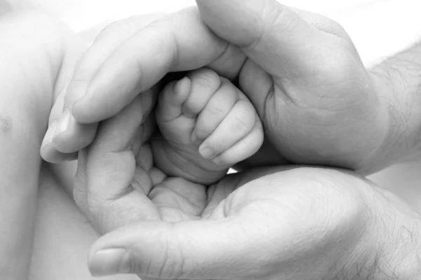 Hands of the baby — Stock Photo, Image