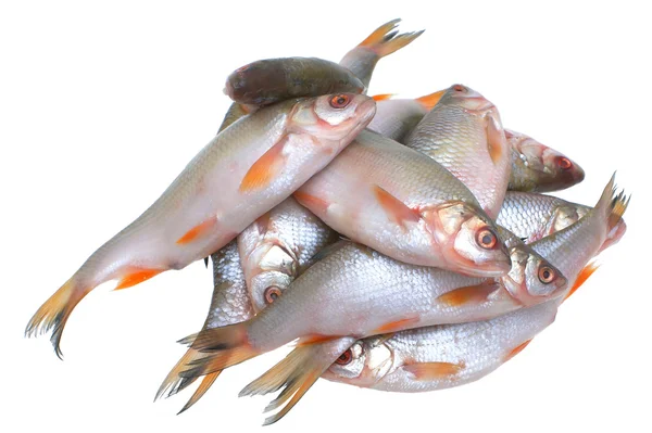 stock image Fish.