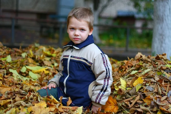 Kind in Herfstbladeren — Stockfoto