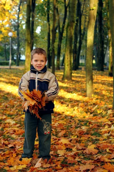 Barnet kastar hösten lämnar — Stockfoto