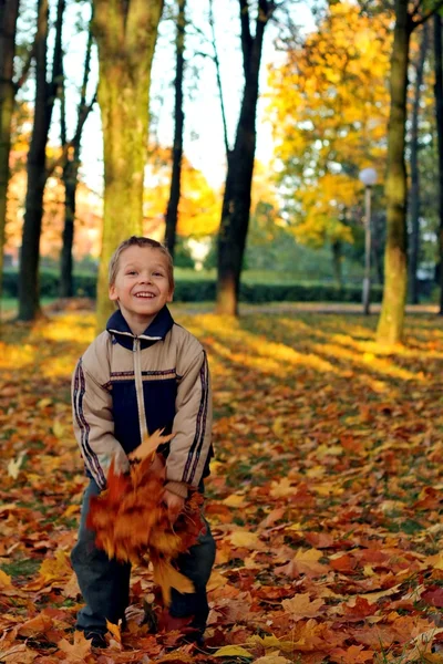 Kind wirft Herbstblätter — Stockfoto