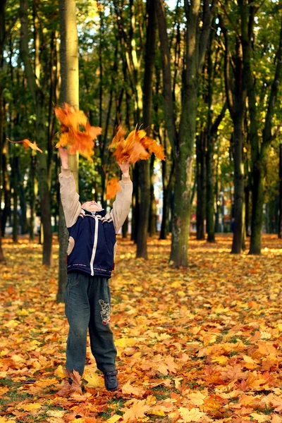 Gyermek dobta őszi levelek — Stock Fotó