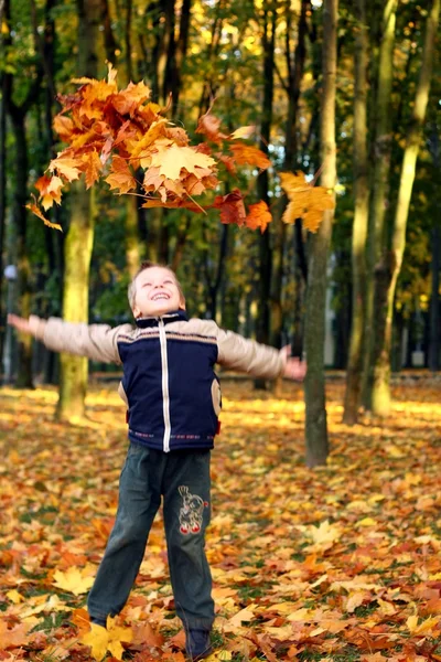 Ребёнок бросает осенние листья — стоковое фото