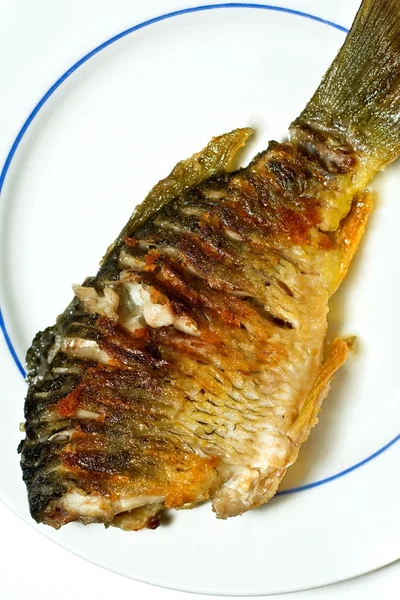튀긴된 생선 — 스톡 사진