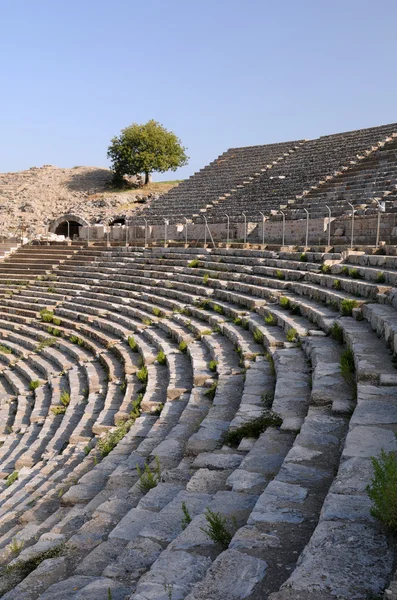 Teil Des Antiken Theaters Efes Türkei Stockbild