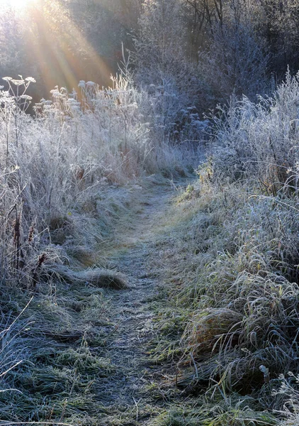 First Frosty Morning — Stock Photo, Image