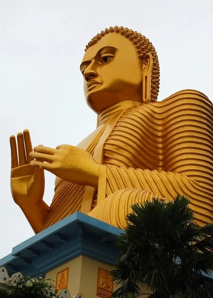 Bouddha d'or — Photo