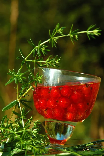Red Currant in the Glass Of Wine — Stock Photo, Image