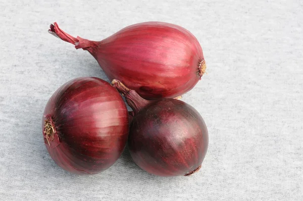Three Red Onion Bulbs — Stock fotografie