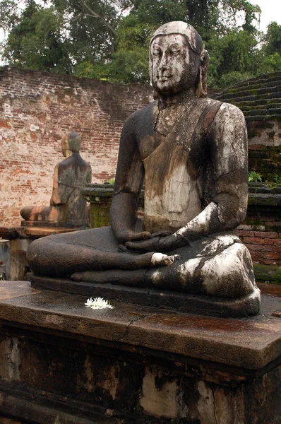 Twee zittende boeddha's in de regen — Stockfoto