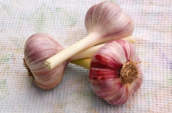 stock image Garlic Bulbs On The Dish Towel