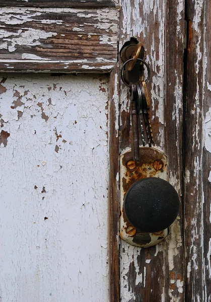 Eski püskü kapı — Stok fotoğraf